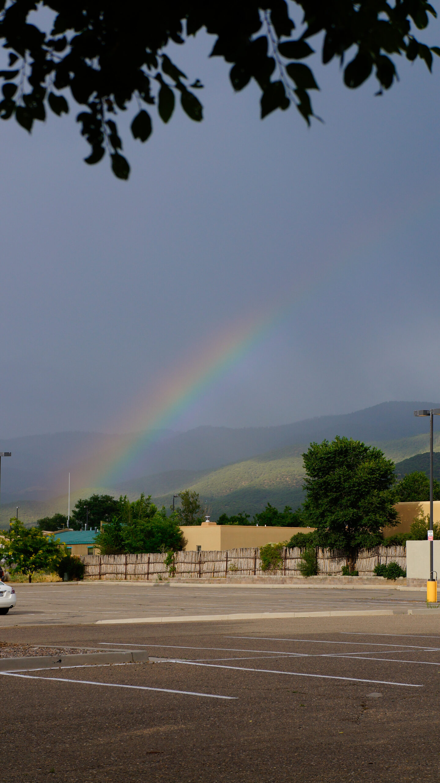 Photo taken by Nicky Nadja Meyer.
