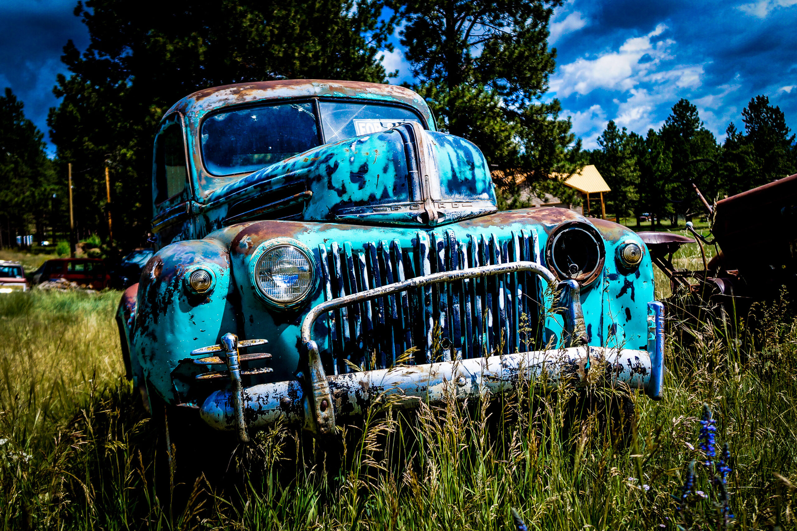 Photo taken by Nicky Nadja Meyer.