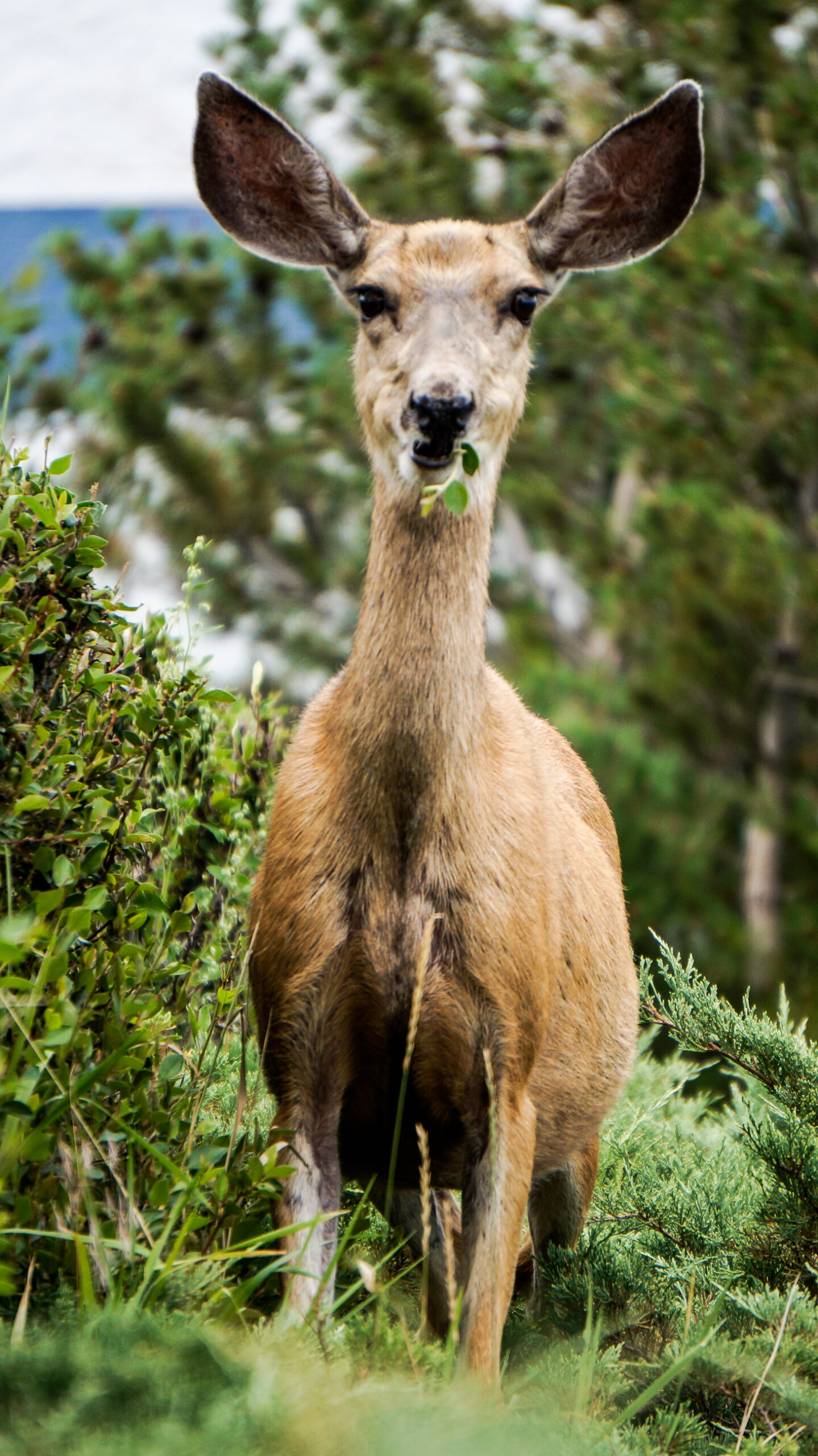 Photo taken by Nicky Nadja Meyer.