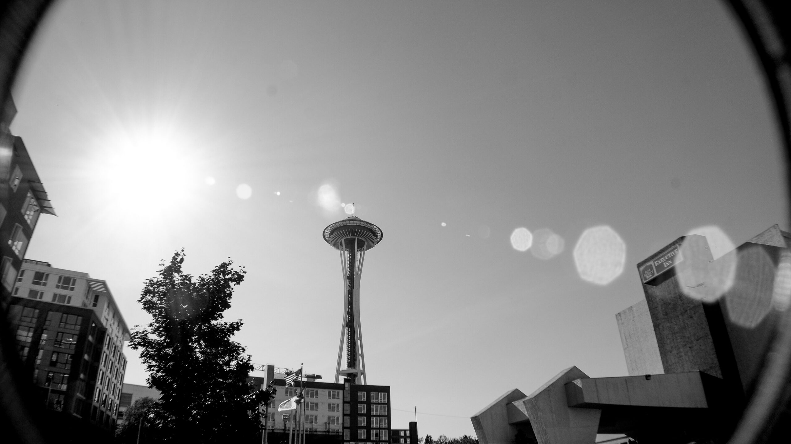 Photo taken by Nicky Nadja Meyer.