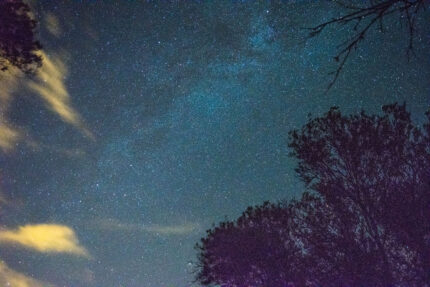 Photo taken by Nadja Meyer.