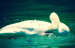 Photo taken by .
