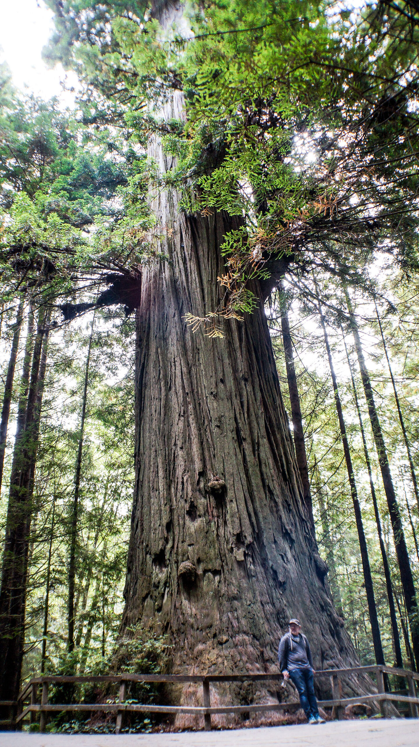 Photo taken by Nadja Meyer.