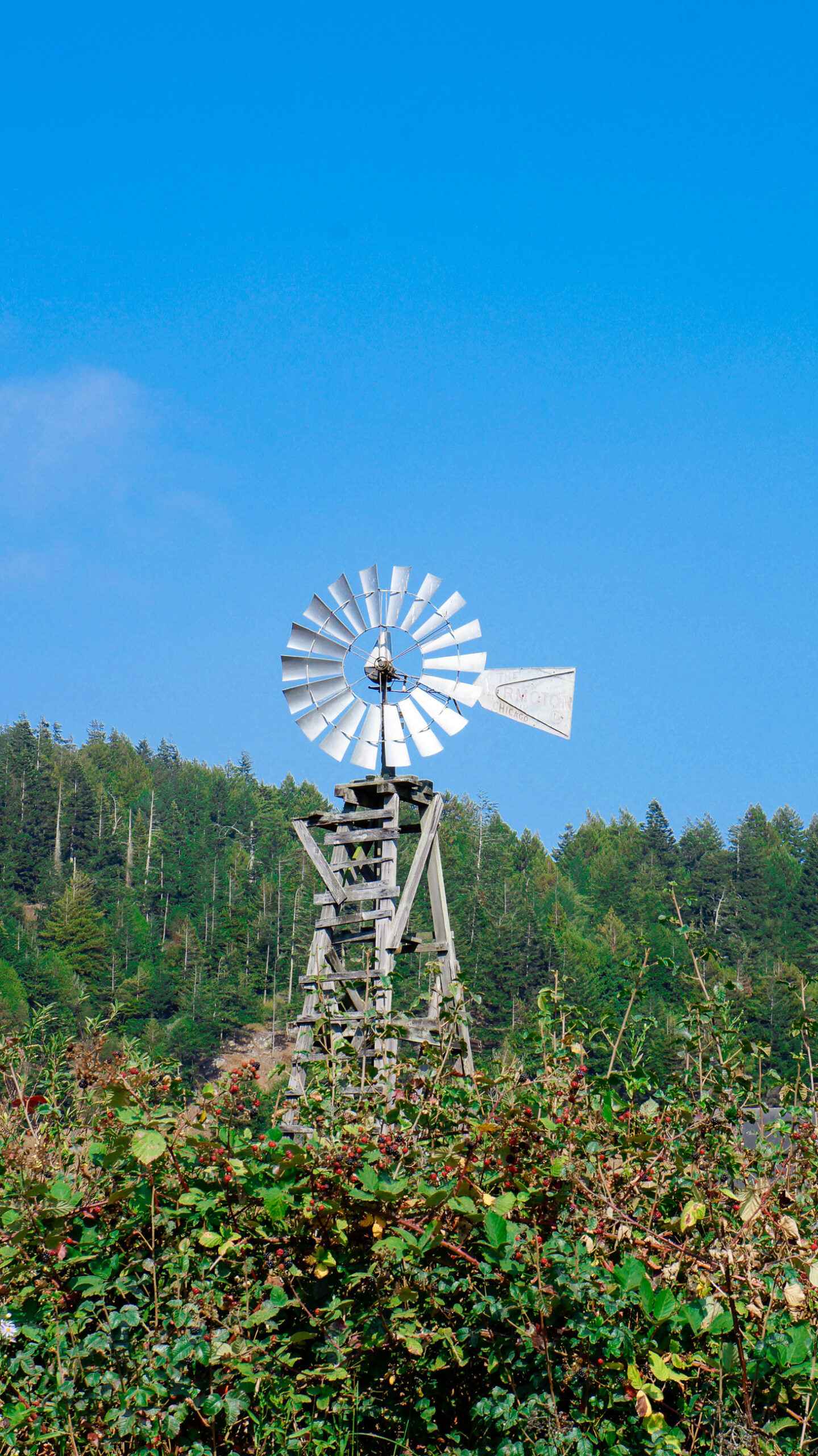 Photo taken by Nadja Meyer.