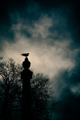 Photo taken by Nicky Meyer NM.Photography.