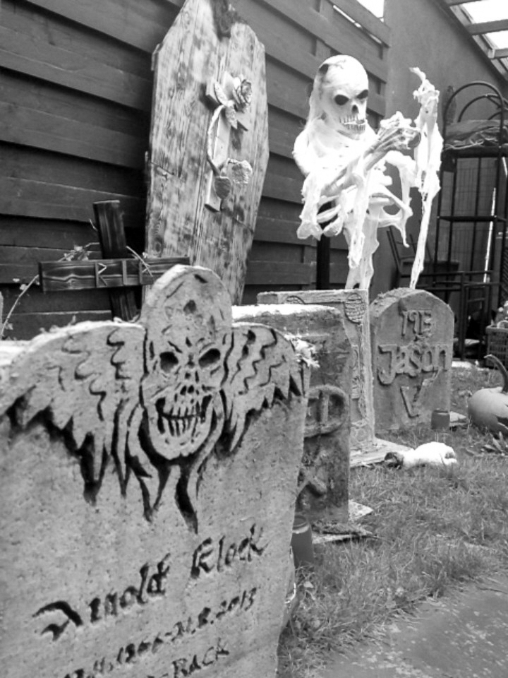 Photo taken by Nicky Nadja Meyer.