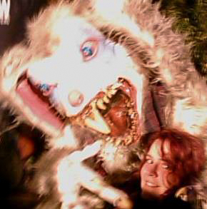 Photo taken by Nicky Nadja Meyer.